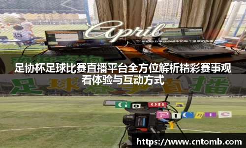 JN体育官网