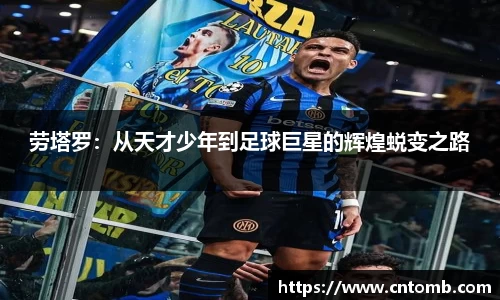 江南JNSport体育