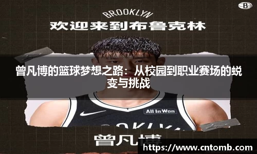 JN体育